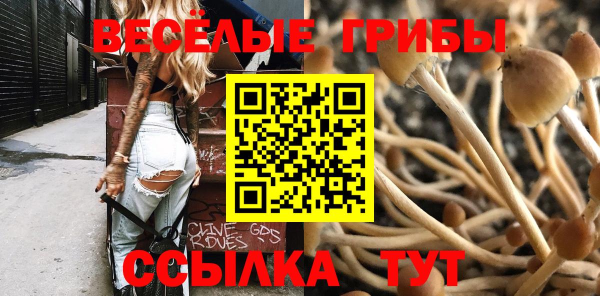 Псилоцибиновые грибы Psilocybine cubensis Ногинск