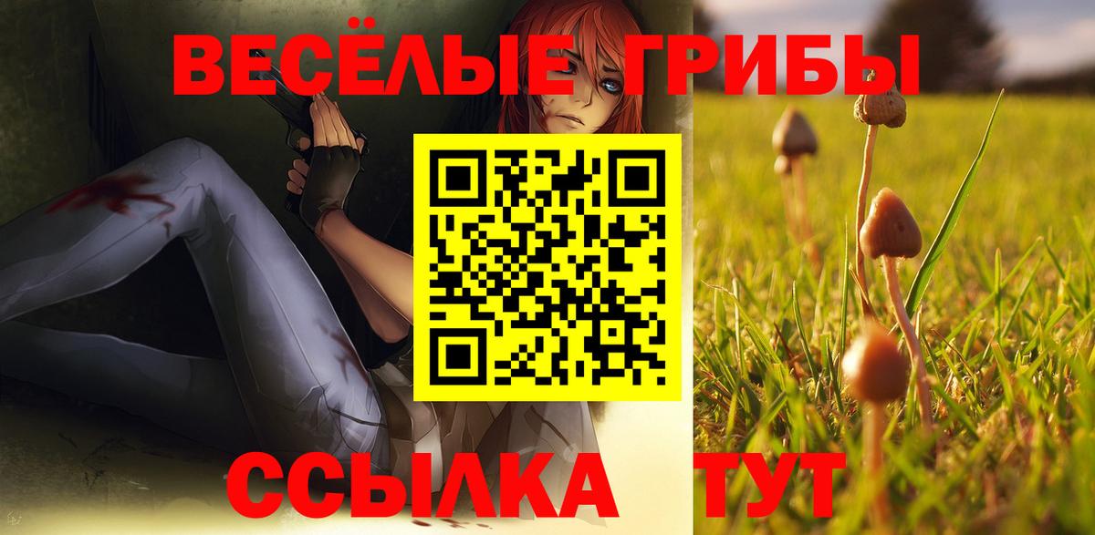 Псилоцибиновые грибы Magic Shrooms  Псилоцибиновые грибы Psilocybine cubensis  Ногинск  Вход с VPN 